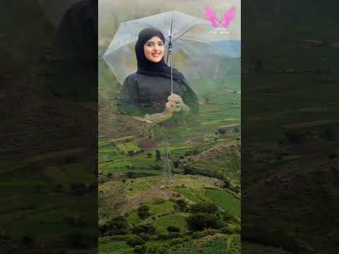 عبدالباسط عبسي ياخضبان وردك مليح حالي قامته تجنن