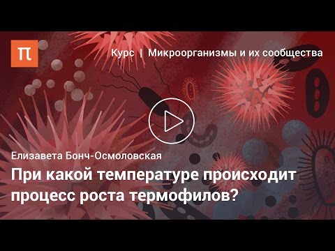 Термофильные микроорганизмы — Елизавета Бонч-Осмоловская