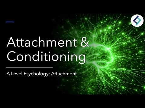 Attachment & Conditioning | Attachment | A Level Psychology