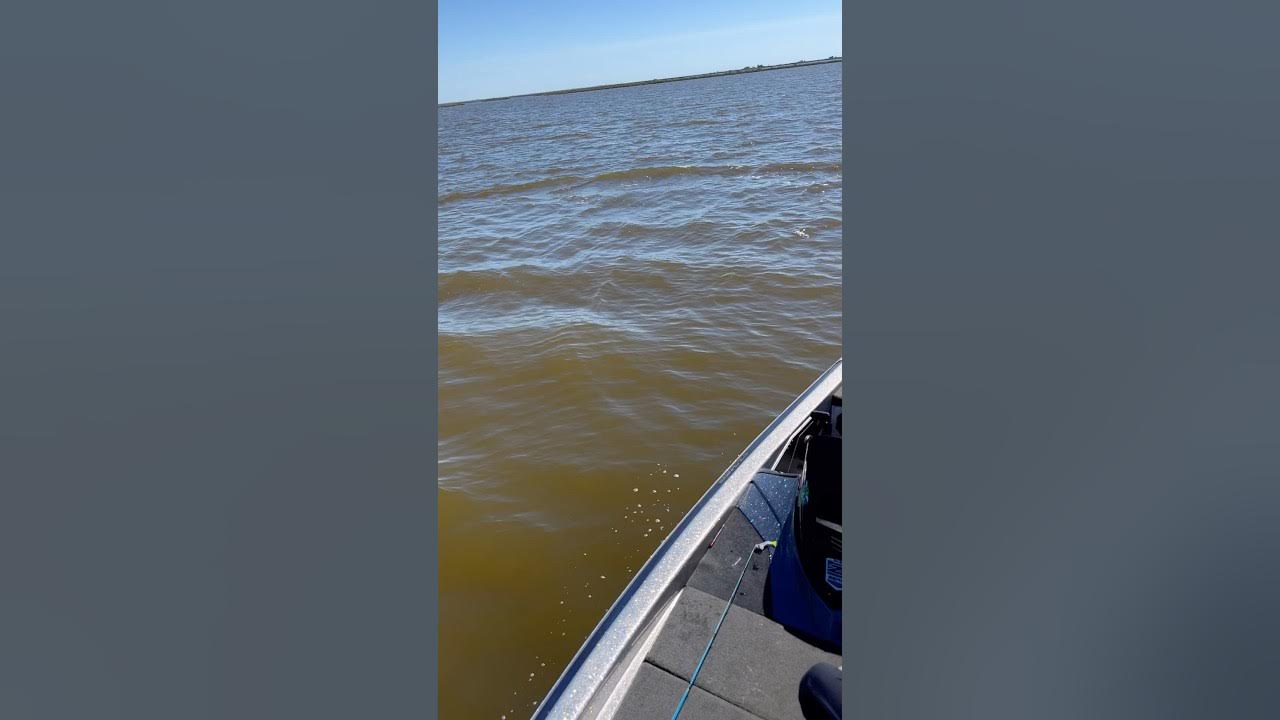 Pointe aux Chene louisiana saltwaterfishing YouTube