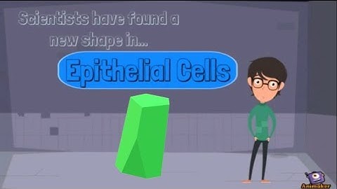 Scutoid-A new geometric shape | 3MinuteScience