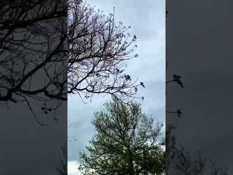 الأراضي السورية كما لم تشاهدها من قبل هضبة الجولان