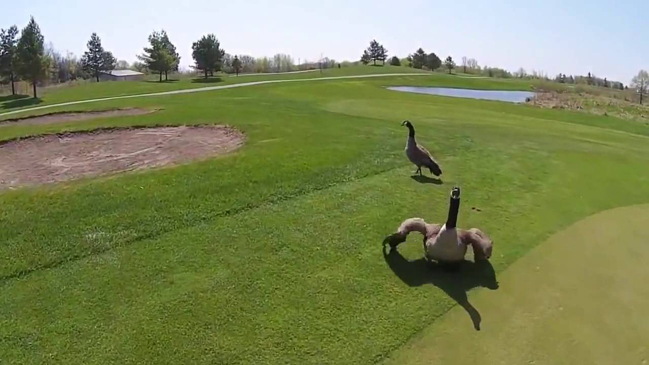 Compilación fallos y caídas de drone - Drone Fail Crash Compilation