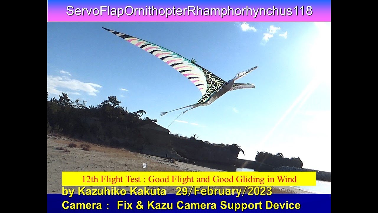 Dragonscaler Fligth Path CF 龍鱗の飛行進路 Dragonscaler Fligth Path CF 龍鱗の飛行進路 Dragonscaler