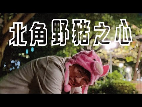 《北角野豬之心》晴天林｜人道毀滅野豬｜原曲：聖馬力諾之心