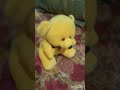 Baby shark teddy funny comedy