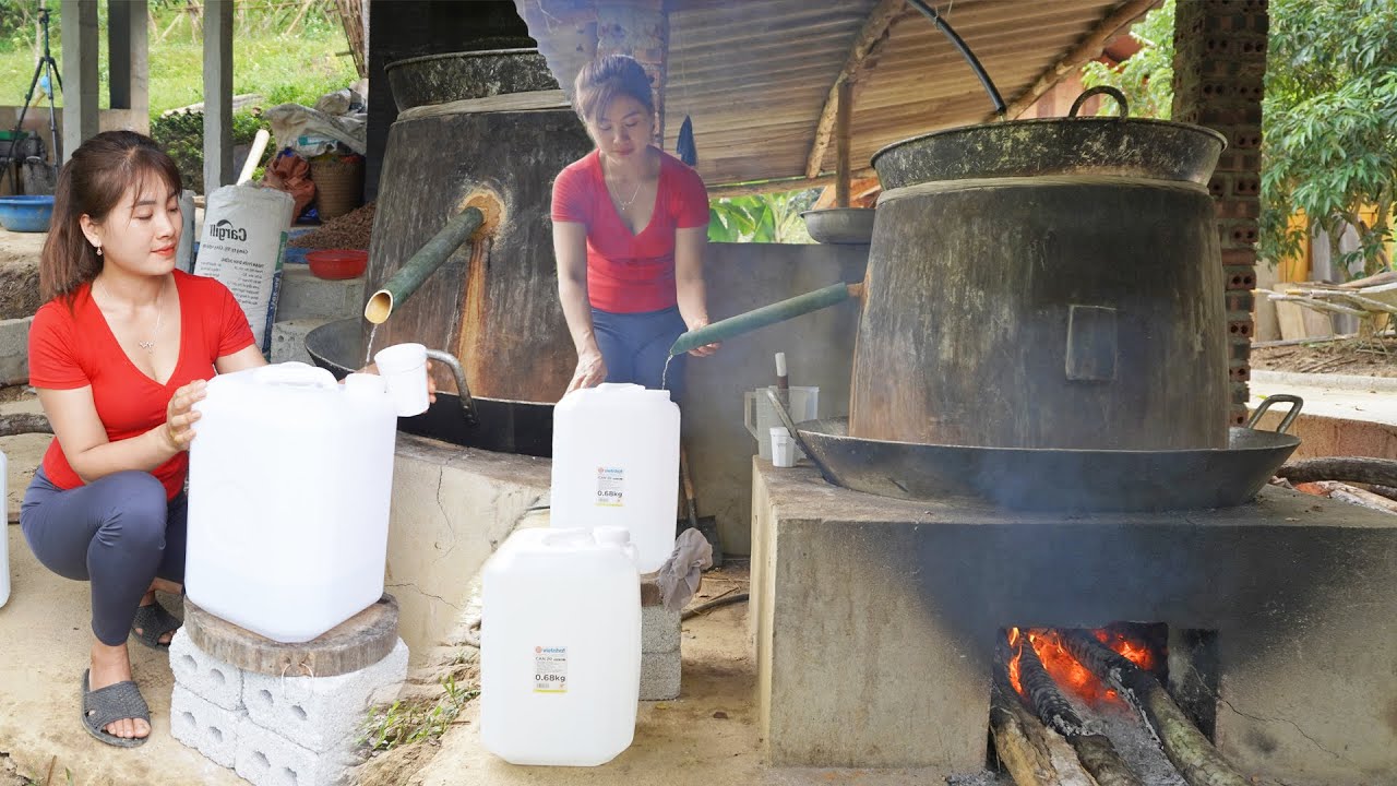 How to distill wine from wild coconut tree trunks Wine of the Dao