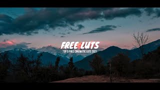 The 5 Best Cinematic Luts 2021