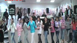 Studyo 81