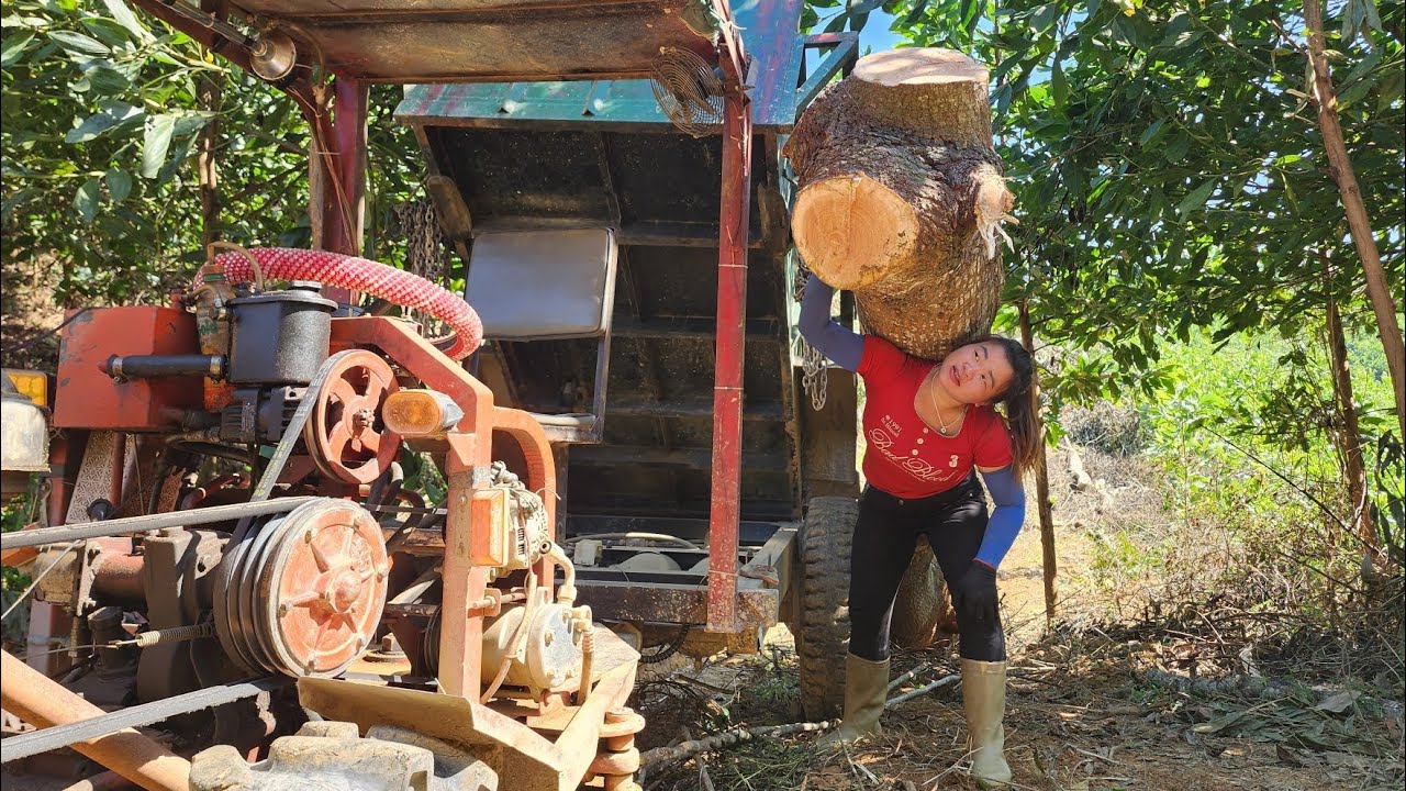 Agricultural vehicles continue the work of logging and transporting timber.