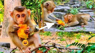 B-a-dly...!! Baby LEO very an-gry with Sister Rainbow for grabbing mangoes from his mouth.