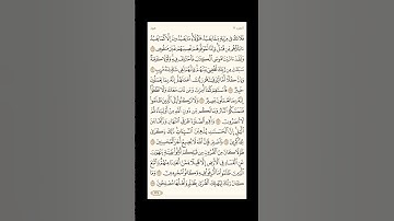 الورد اليومي: 4 صفحات (233-234-235-236) لتجنب هجر القرآن | تذكير يومي مستمر #قرآن #تلاوة