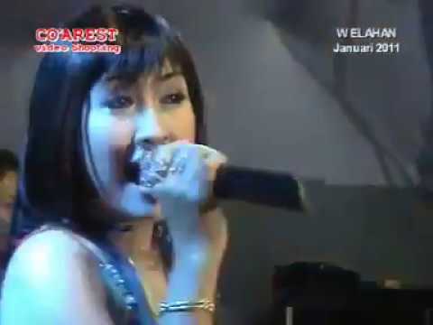 BUKAN YG PERTAMA | Ayu Lestari (Camelia)