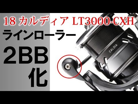 18カルディア 1000s ベアリング追加 IIODTDER ダイワリールの