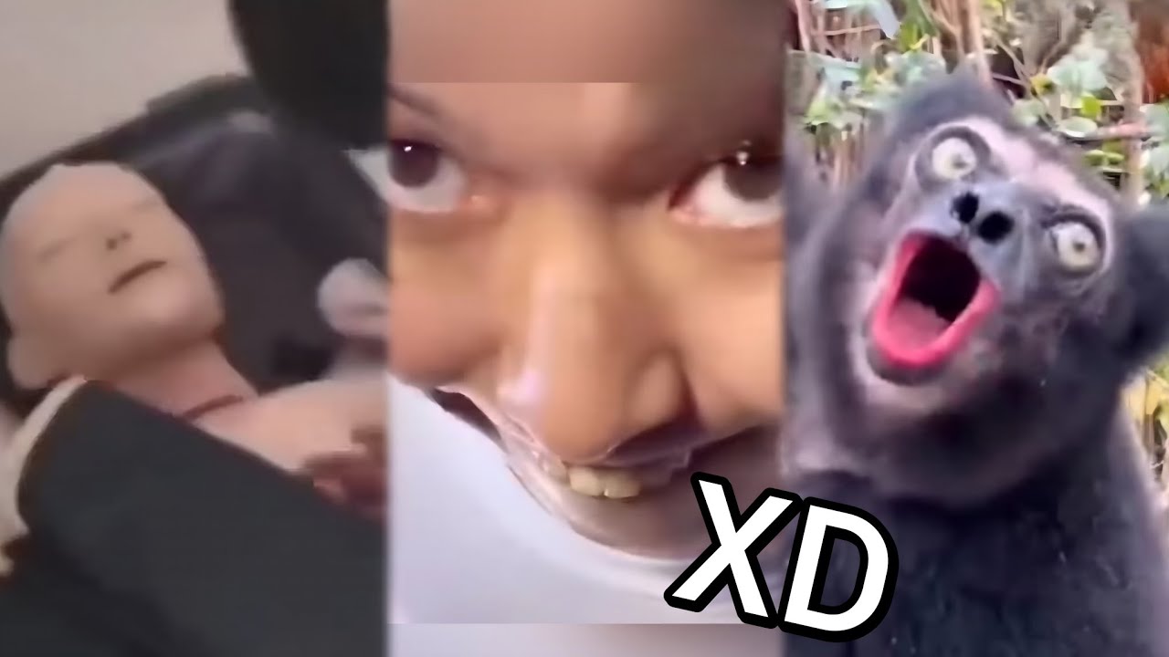 😂 VIDEO MEMES RANDOM XD #54, Si Te Ries Pierdes, Videos De Risa, Funny Tiktok, Try Not To Laugh