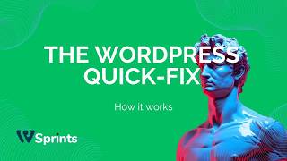 How to Fix your WordPress Website for  just $48 in 24 Hours!