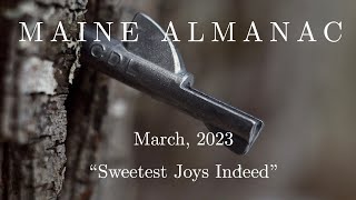 Maine Almanac-- March, 2023: Sweetest Joys Indeed