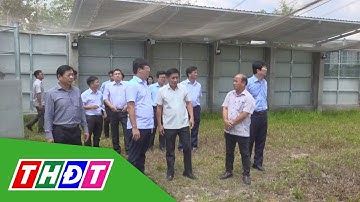 Lãnh đạo tỉnh Đồng Tháp khảo sát tiến độ thi công hạ tầng Đề án bảo tồn Sếu | THDT