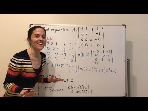 Linear Algebra: Finding the Eigenvalues of a Matrix (full lecture)