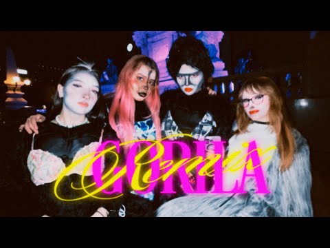 TRANSNOCHADAS - GORILA REMIX