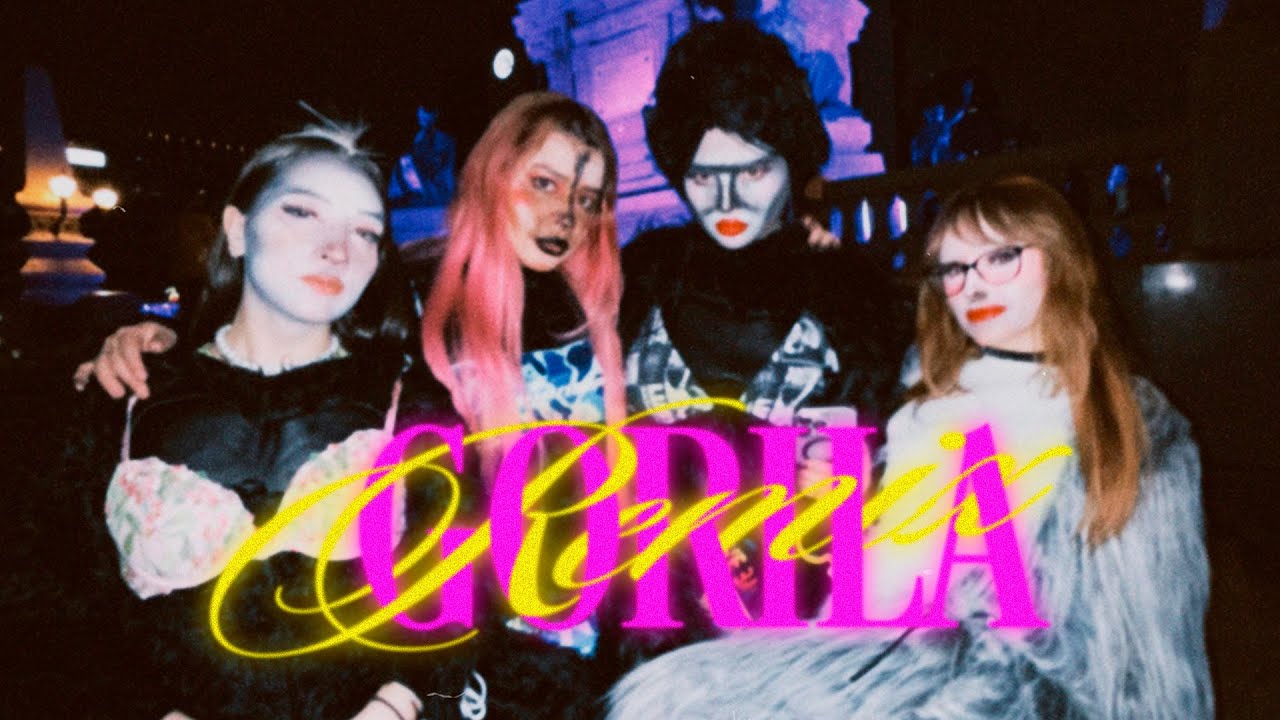 TRANSNOCHADAS - GORILA REMIX