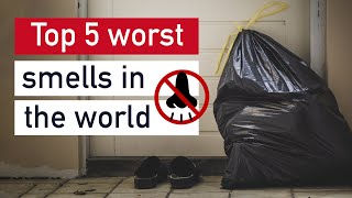 Hold Your Nose: The 5 Most Disgusting Smells In The World