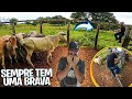 PORQUE SERA QUE SEMPRE TEM QUE TER UMA VACA MUITO BRAVA ?