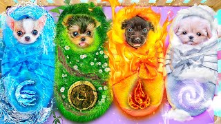 We Adopted 4 Element Pets! We Built a Secret Room for Our Pets