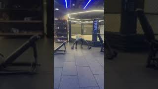 Dumbell AEL Broad Jump