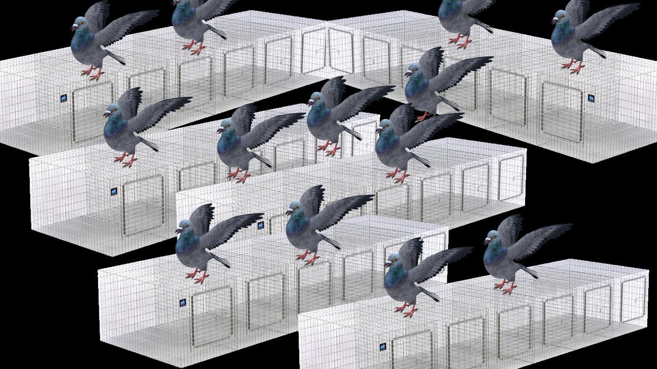 MAKEING A MULTY PURPOSE  HAND MADE CAGE FOR ALL TYPES OF BIRDS AND PIGEON