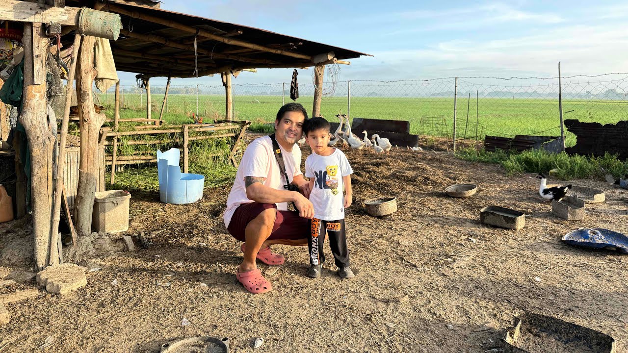 Namasyal kami ni asher sa bukid,tuwang-tuwa sa mga alaga ng lolo niya.