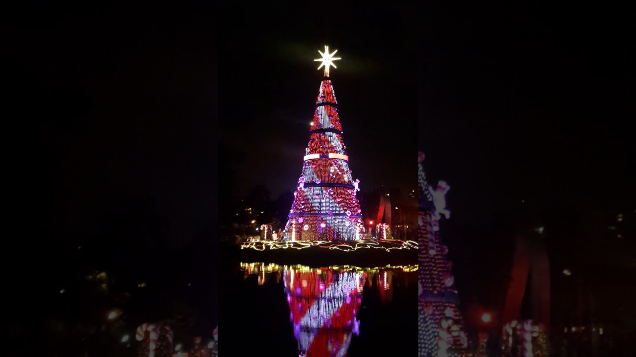 Árvore de Natal  parque  Ibirapuera  2017 São Paulo