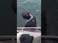 ダイソーの釣竿で大物ゲット😂😂😂