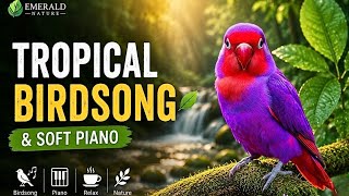 Morning Nature Sounds & Piano Music | Birdsong for Focus, Study & Relaxation screenshot 1
