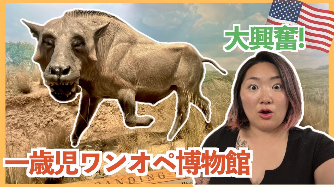 【コロラド】子どもに全振りの博物館がすごい！1才2ヶ月の娘と行ってきた #アメリカ子育て #アメリカ生活 #コロラド #海外子育て #海外在住ママ