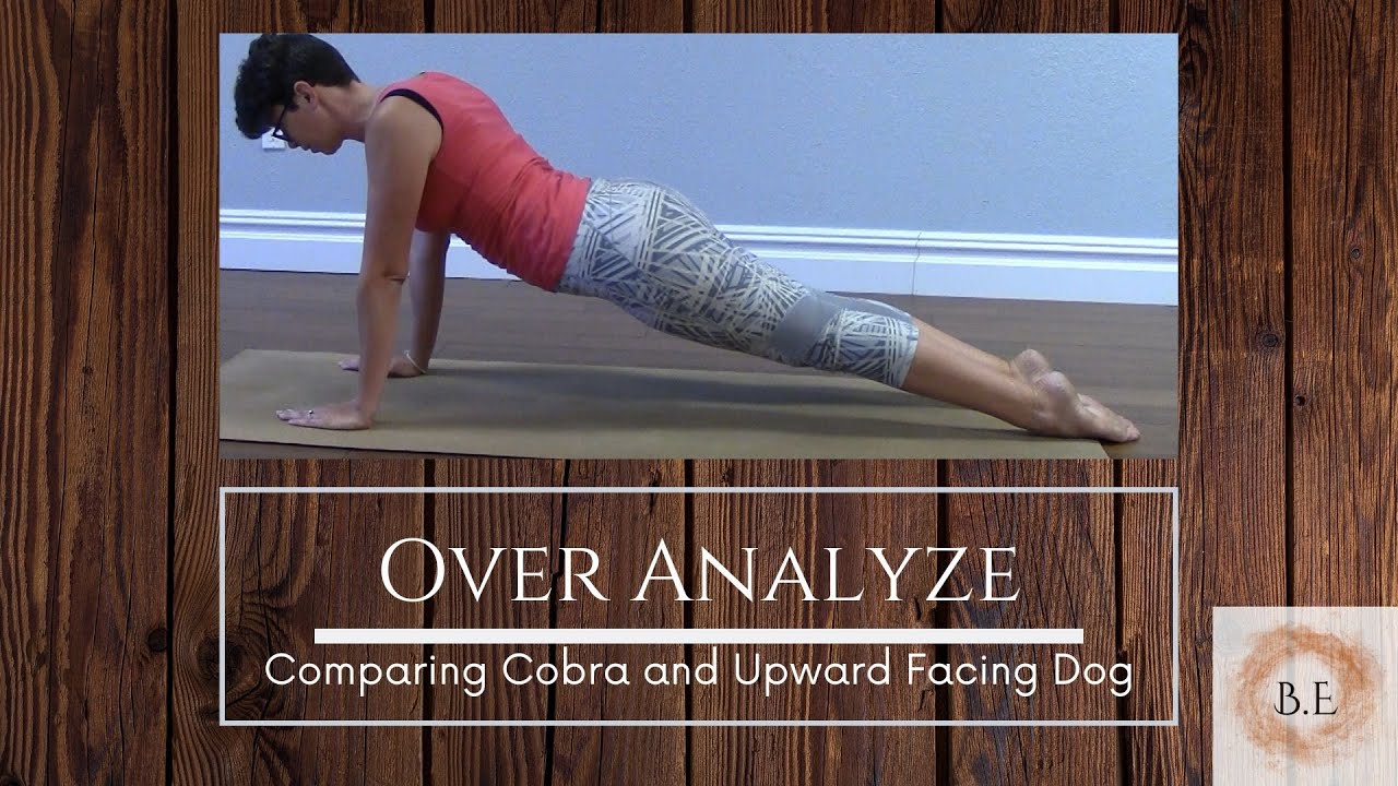 The Difference Between Cobra & Upward Facing Dog YouTube