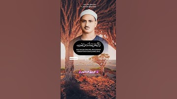 روائع الشيخ محمد صديق المنشاوي - سورة لقمان