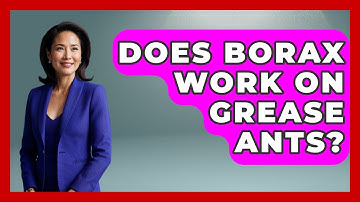 Does Borax Work On Grease Ants? - Insects and Invaders