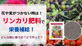 【使い分け】リンカリ肥料ってどんな時に使うの？【肥料の豆知識】