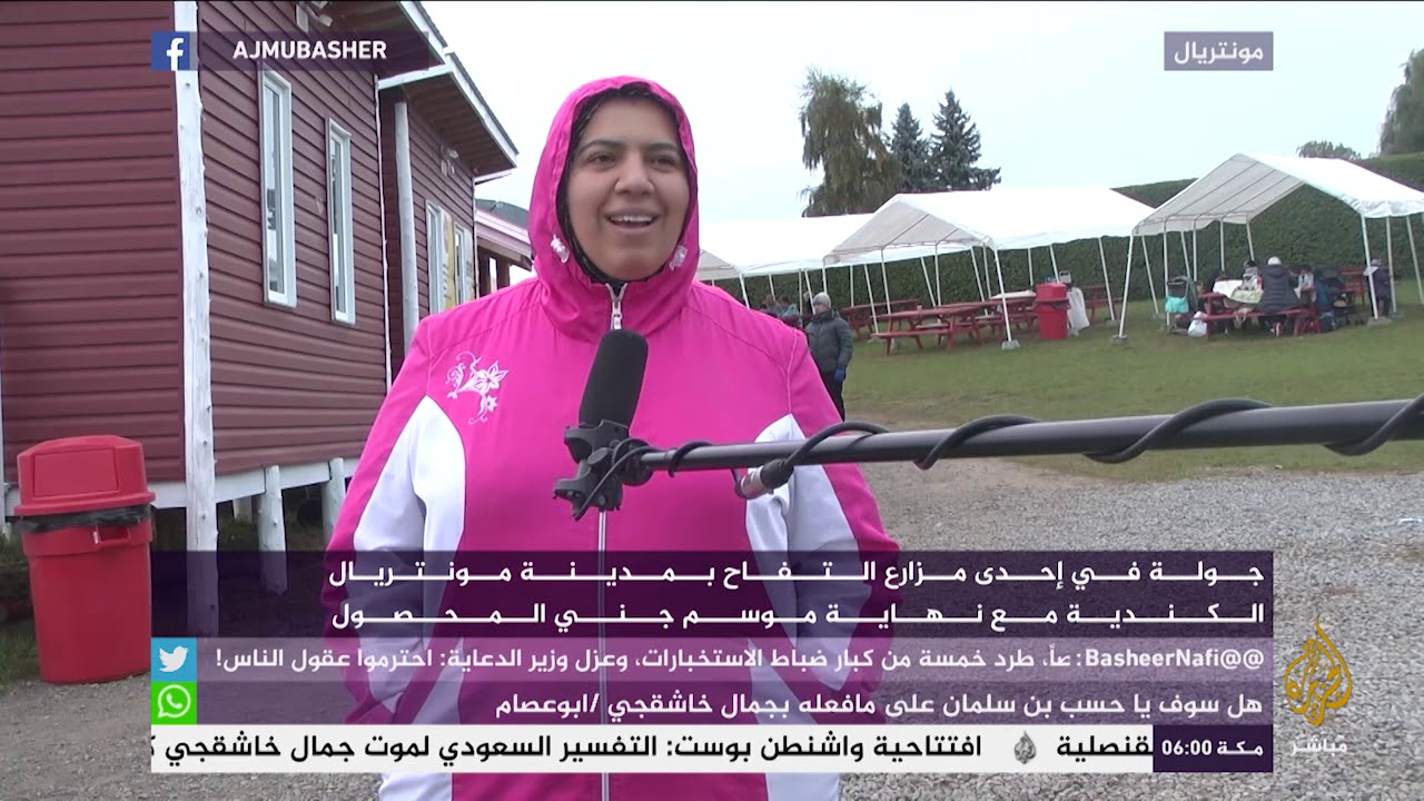 روعة مزارع التفاح الأحمر في كندا