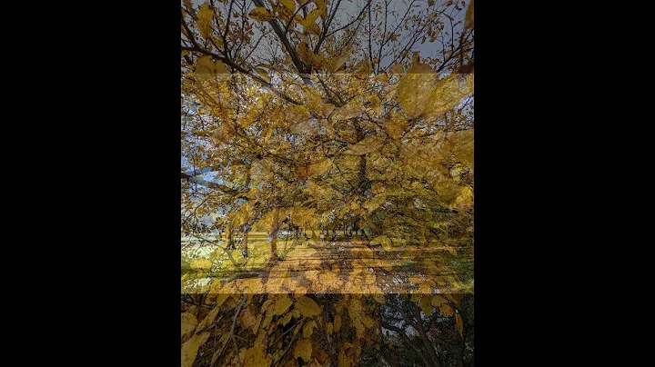 The 7 Days of Fall in Austin, Texas - 2022