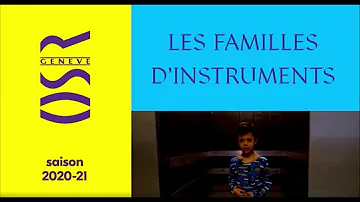 Quels sont les Sous-famille des instruments à percussion ?