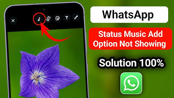 WhatsApp Status Music Option Not Showing? | Fix "Add Music" Issue (2025)