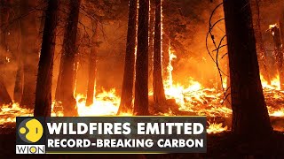 Wildfires raged by climate change spurred record-breaking carbon into the atmosphere | English News