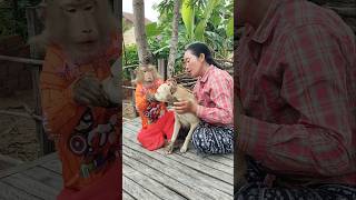Amazing SokYaa,OG, ToTo Animals Are So Awesome #shorts