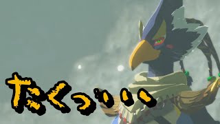 かわんねえなぁ　『ゼルダの伝説　Breath Of The Wild』＃42