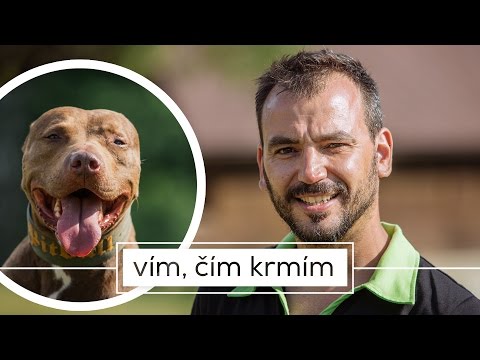 Video: Koľko Kŕmiť Psa S Nadváhou Denný Veterinár