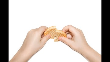 How to do Fracture/Bend Testing using a Texture Analyser