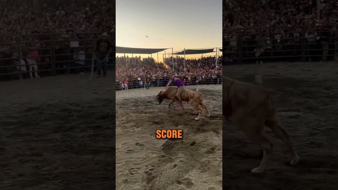 Bull Riding Is Intense Diegos 4500 