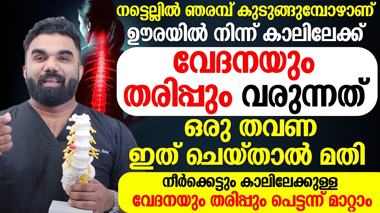 ഒരു തവണ ഇത് ചെയ്താൽ മതി കാലിലേക്കുള്ള വേദനയും തരിപ്പും മാറാൻ | sciatica pain relief exercises